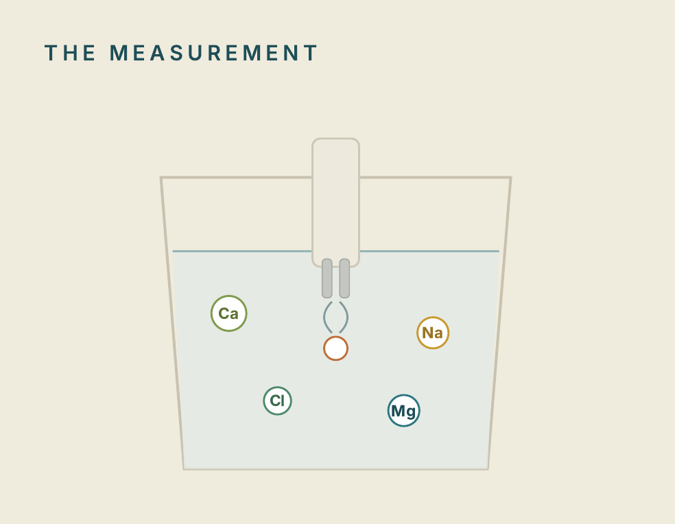 Diagram titled The measurement: a TDS pen dipped into a beaker of water, with dissolved ions labelled Ca, Na, Cl and Mg suspended around the two probe tips and a current passing between them.